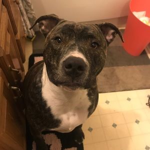 Meet your Posher, Riley